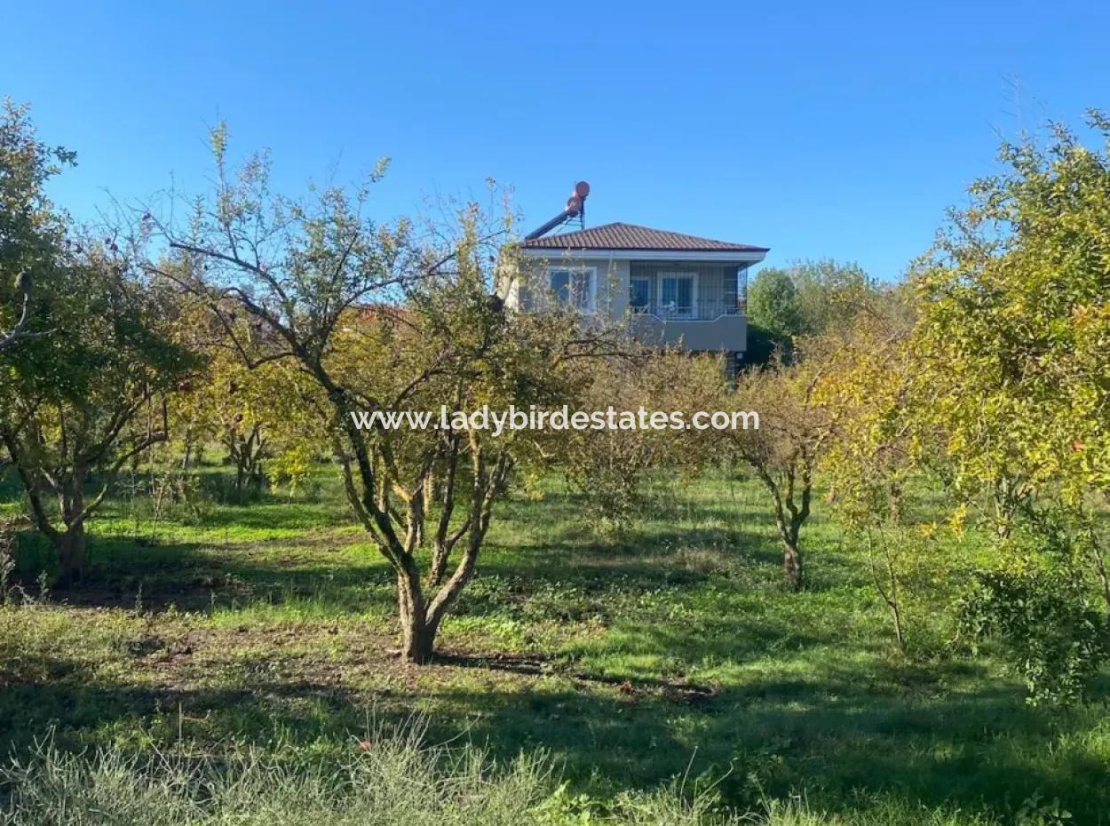 Inside Merkez. 905 M2 Satilik Arsa