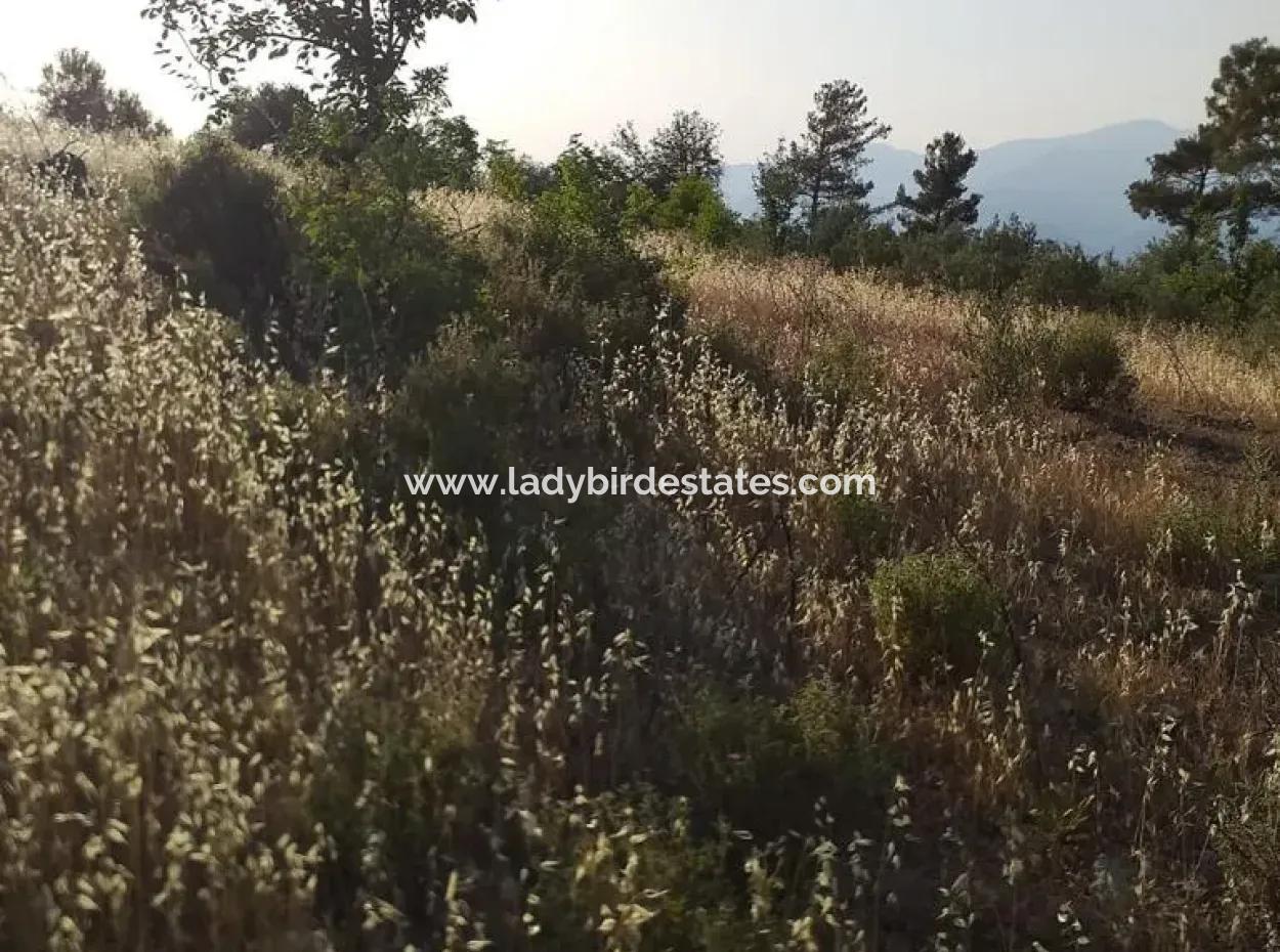 20.000 M2 Feld Zum Verkauf In Dalaman Elcik Village