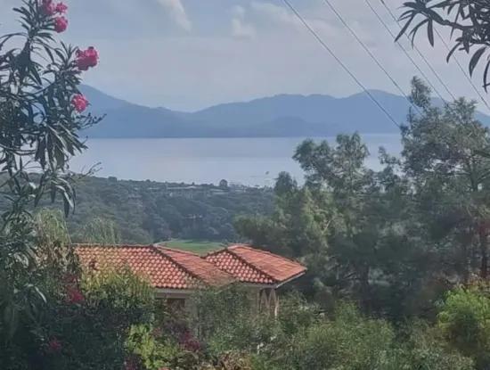 Oliven Zum Verkauf Mit Meerblick In Sarigerme