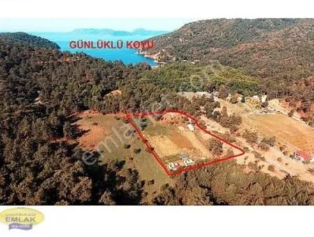 6.793 M2 Investitionsanreizfeld Zum Verkauf In Fethiye Günlüklü Bay