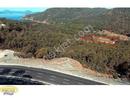 6.793 M2 Investitionsanreizfeld Zum Verkauf In Fethiye Günlüklü Bay