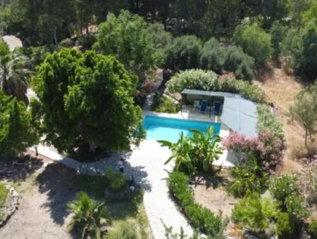 Riesige Chance!! 5.550M2 Naturwunder In 4 1 Villa Zu Verkaufen