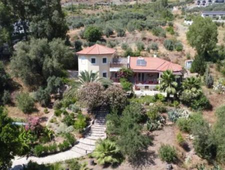 Riesige Chance!! 5.550M2 Naturwunder In 4 1 Villa Zu Verkaufen