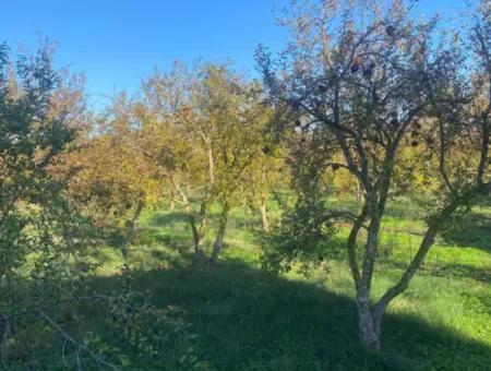 Inside Merkez. 905 M2 Satilik Arsa