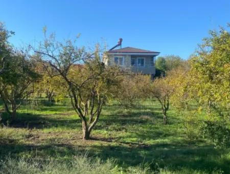 Inside Merkez. 905 M2 Satilik Arsa