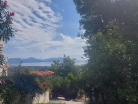 Oliven Zum Verkauf Mit Meerblick In Sarigerme