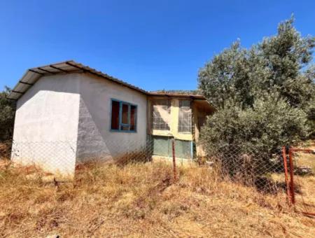 Ein Feld Mit Einem Haus Auf 5 Acres Im Dorf Dalaman Kayadibi Steht Zum Verkauf