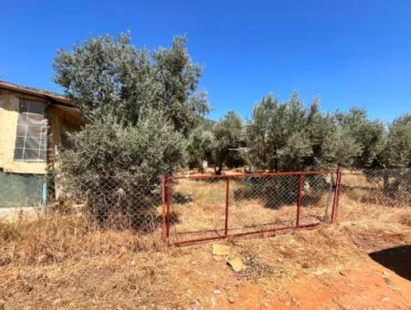 Ein Feld Mit Einem Haus Auf 5 Acres Im Dorf Dalaman Kayadibi Steht Zum Verkauf