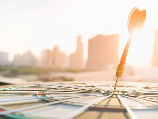 Dalaman Marienkäfer Estates. Unsere Mission