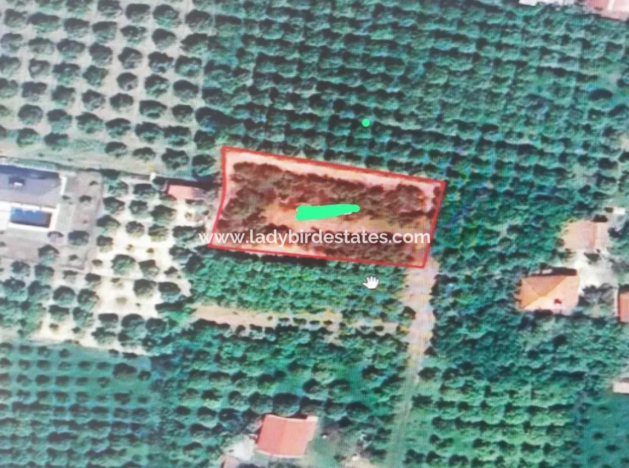 Land For Sale In Ortaca Güzelyurt