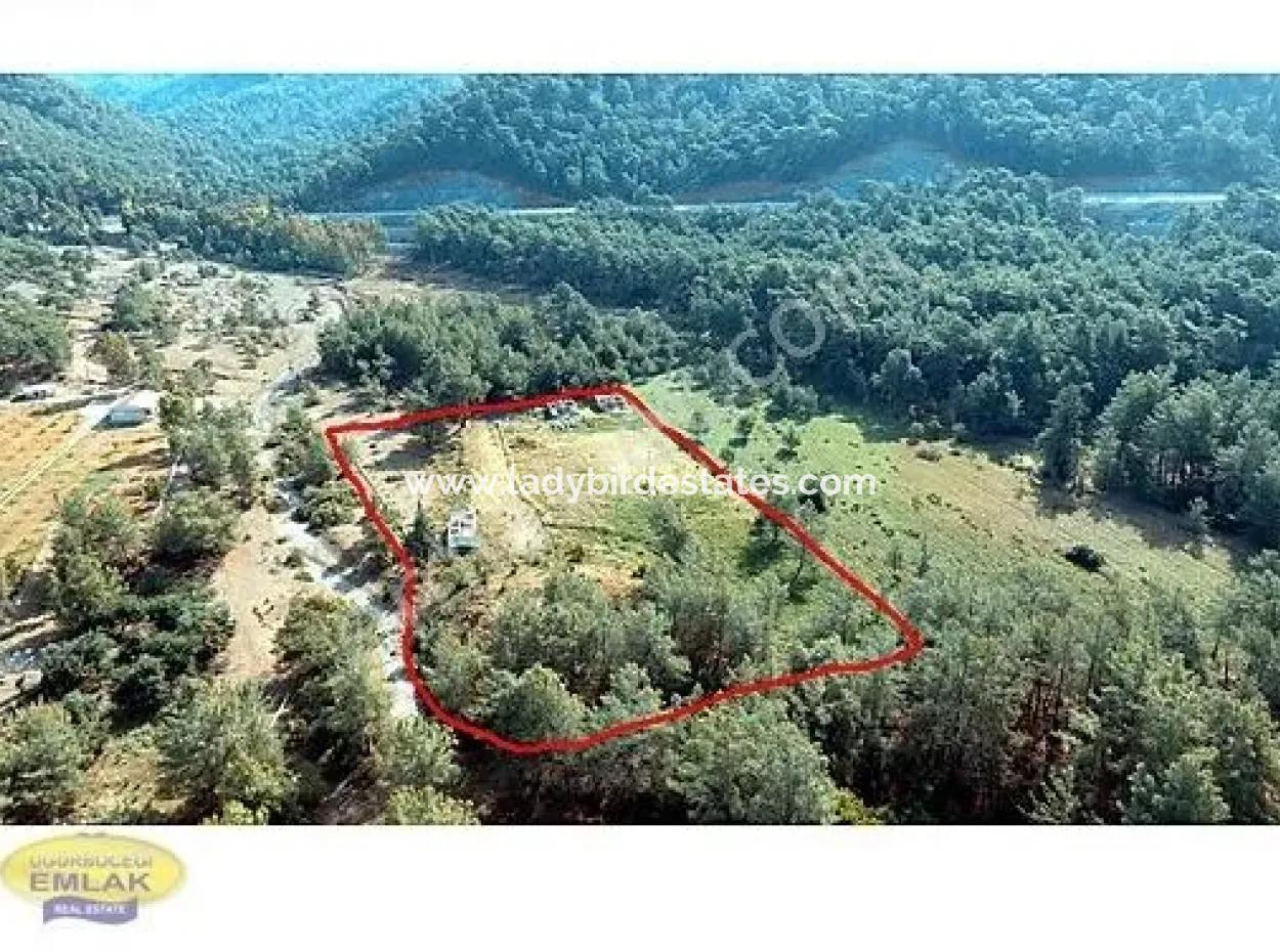 Fethiye, Günlüklü Bay - 6,793 M2 Land