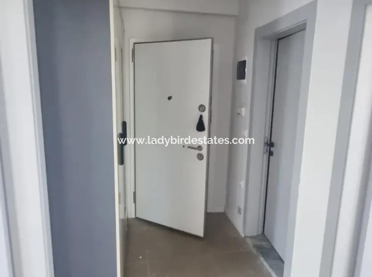 Huge Opportunity Not To Be Missed!! 2 1 Apartments