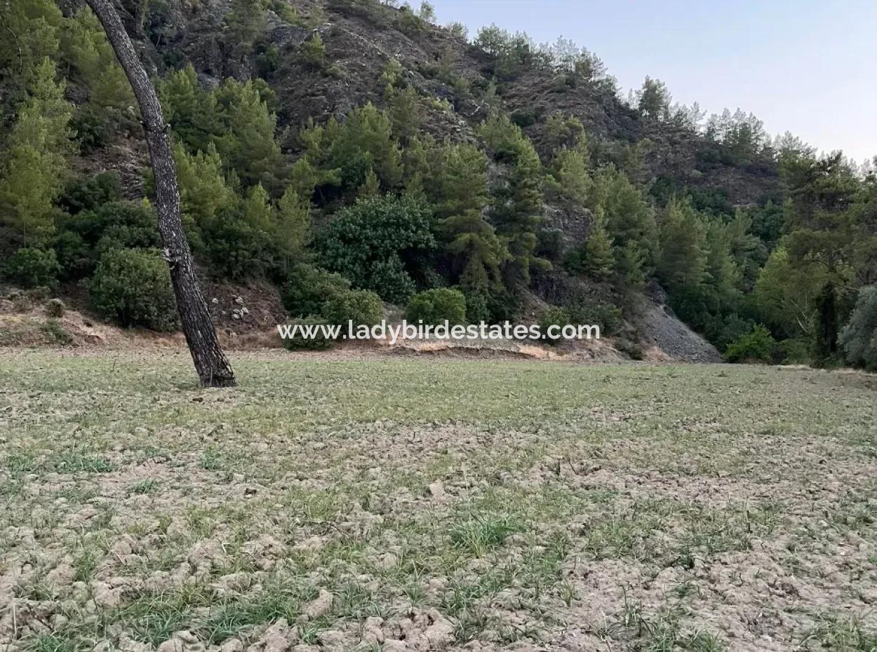 Opportunity In Karacaağaç Is A Field For Sale With A Single Title Deed