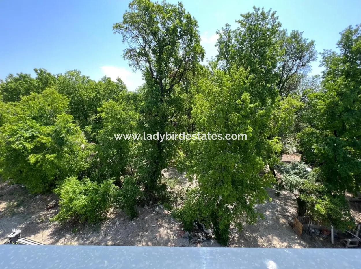 Inside The Altins. 3 1 Satilik Daire