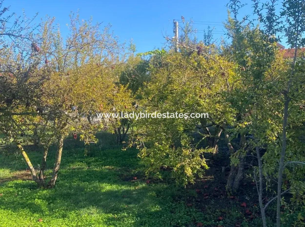 Inside Merkez. 905 M2 Satilik Arsa