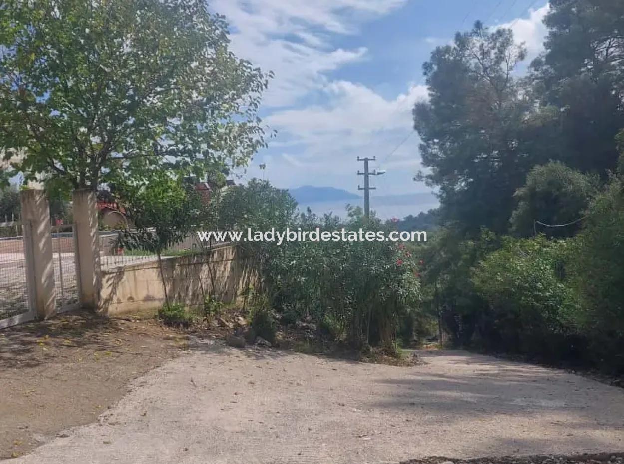Olives For Sale With Sea View In Sarigerme