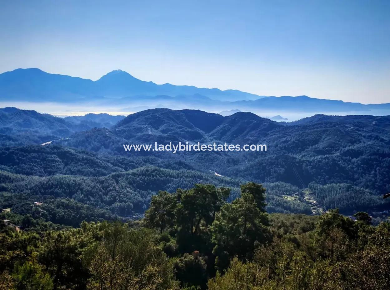 Field For Sale In Gocek Gökçeovacik Locality