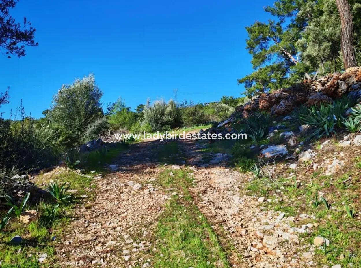 Field For Sale In Gocek Gökçeovacik Locality