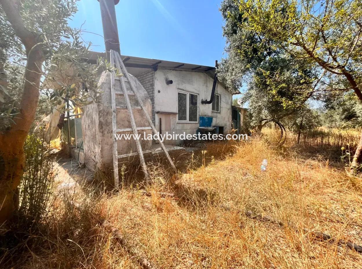 A Field With A House In 5 Acres In Dalaman Kayadibi Village Is For Sale