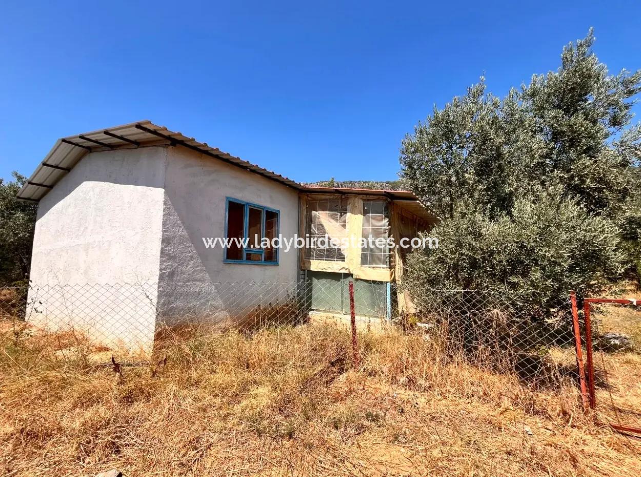 A Field With A House In 5 Acres In Dalaman Kayadibi Village Is For Sale