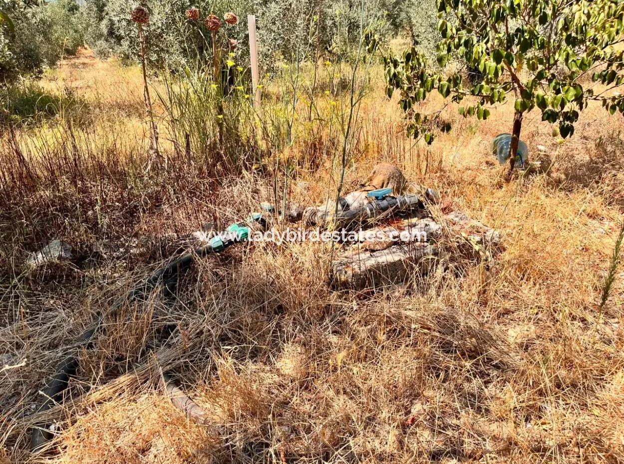 A Field With A House In 5 Acres In Dalaman Kayadibi Village Is For Sale