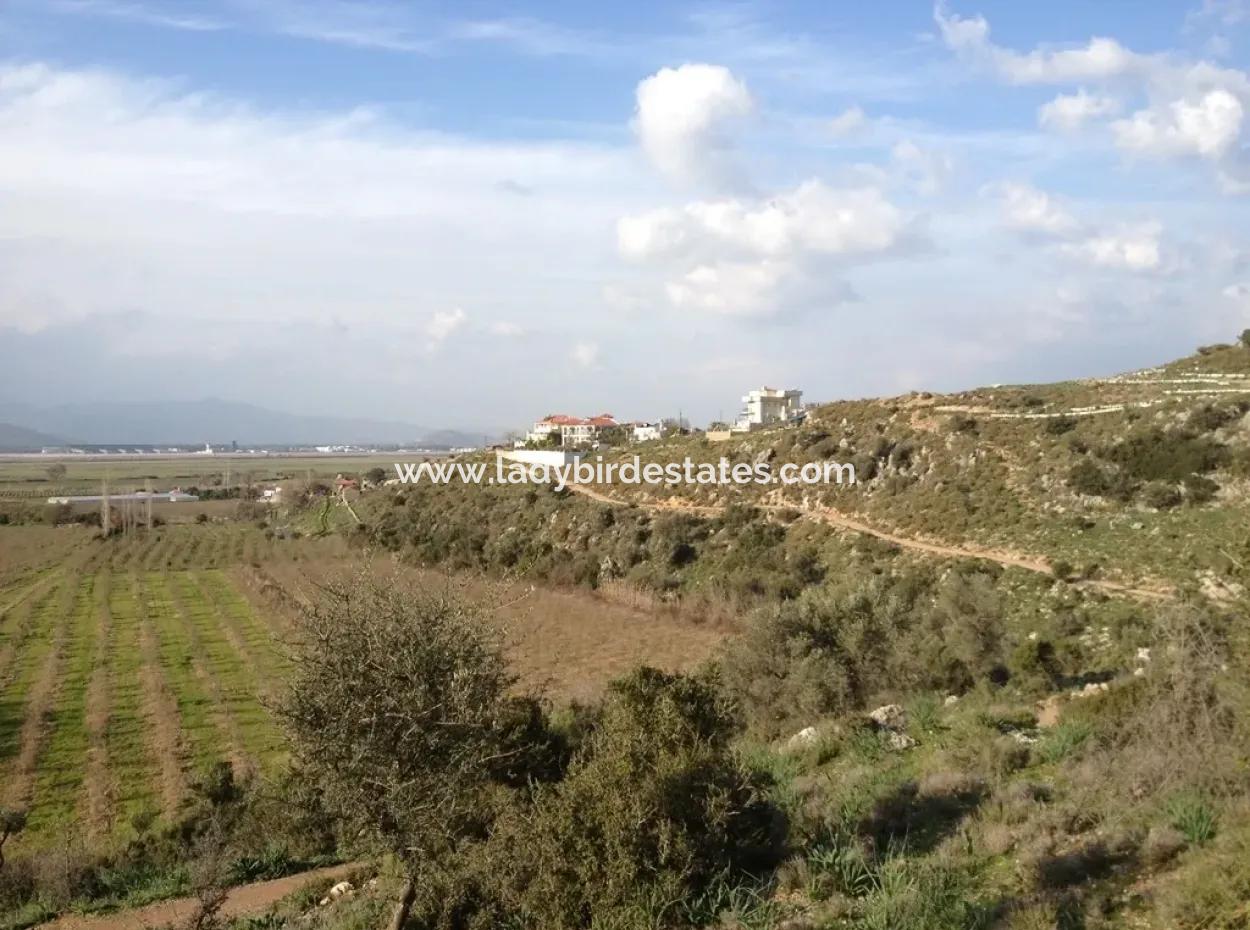 Dalaman, Kapıkargın - 67.200M2 Olive Grove