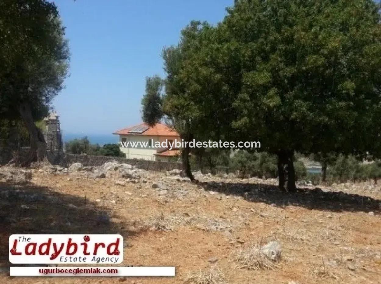 Dalaman, Incebel - 452 M2 Building Plot