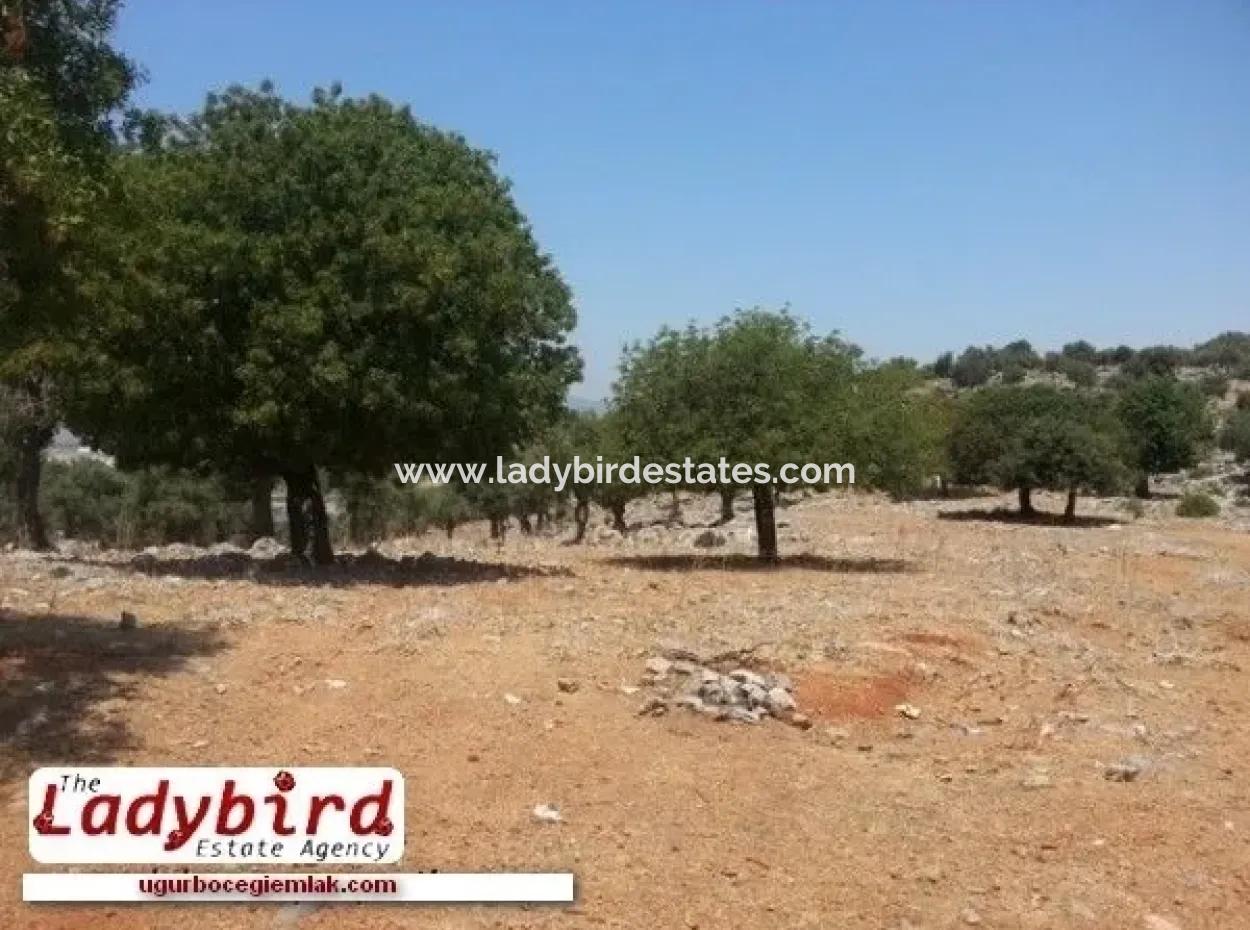 Dalaman, Incebel - 452 M2 Building Plot