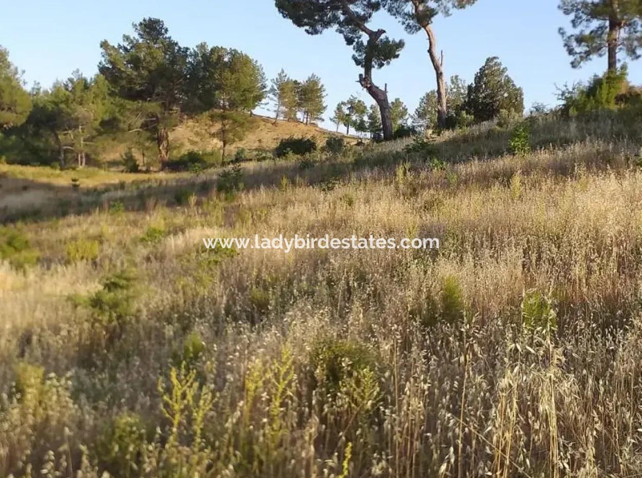 Dalaman, Elcik Village - Land For Sale