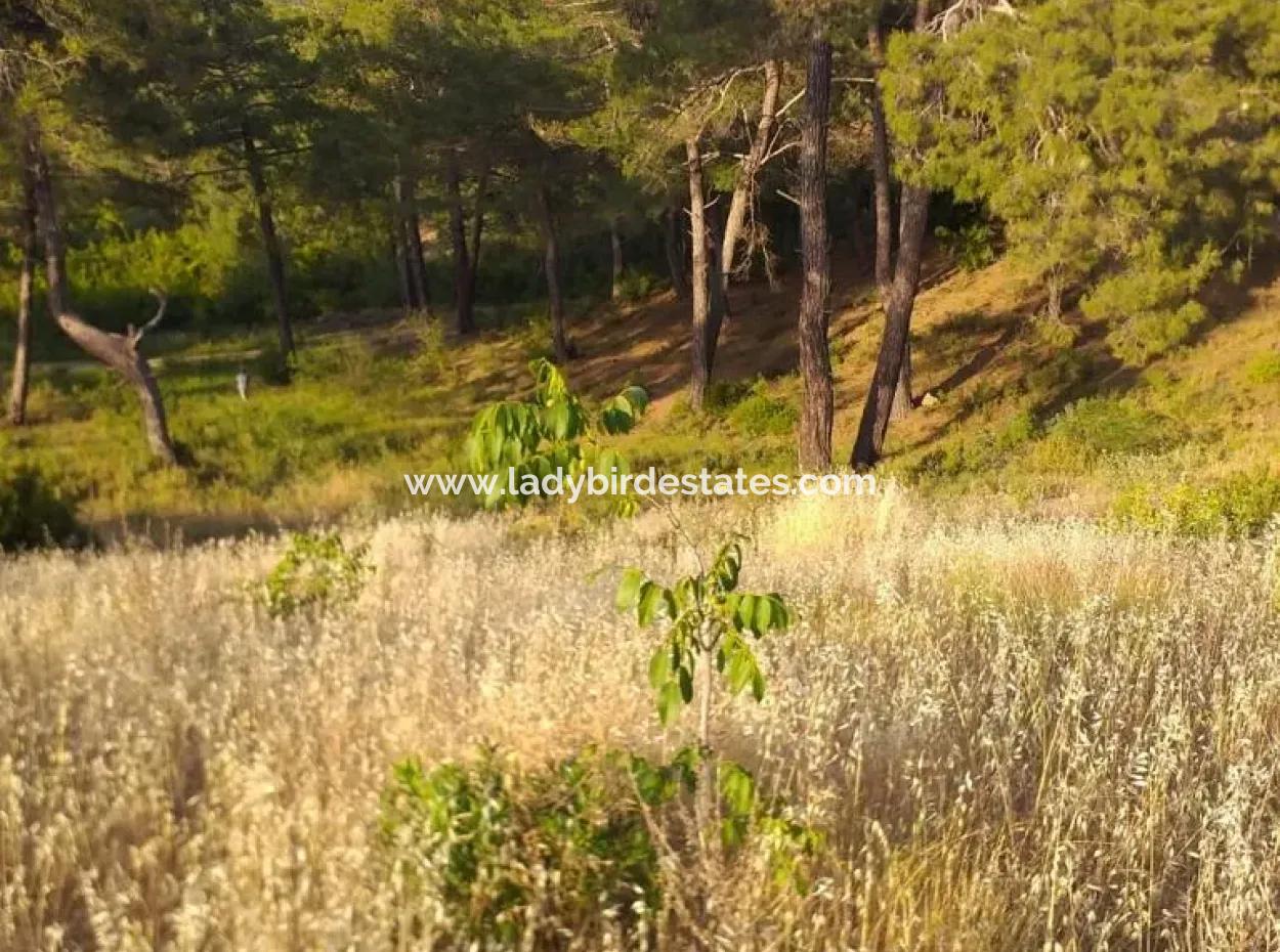 Dalaman, Elcik Village - Land For Sale
