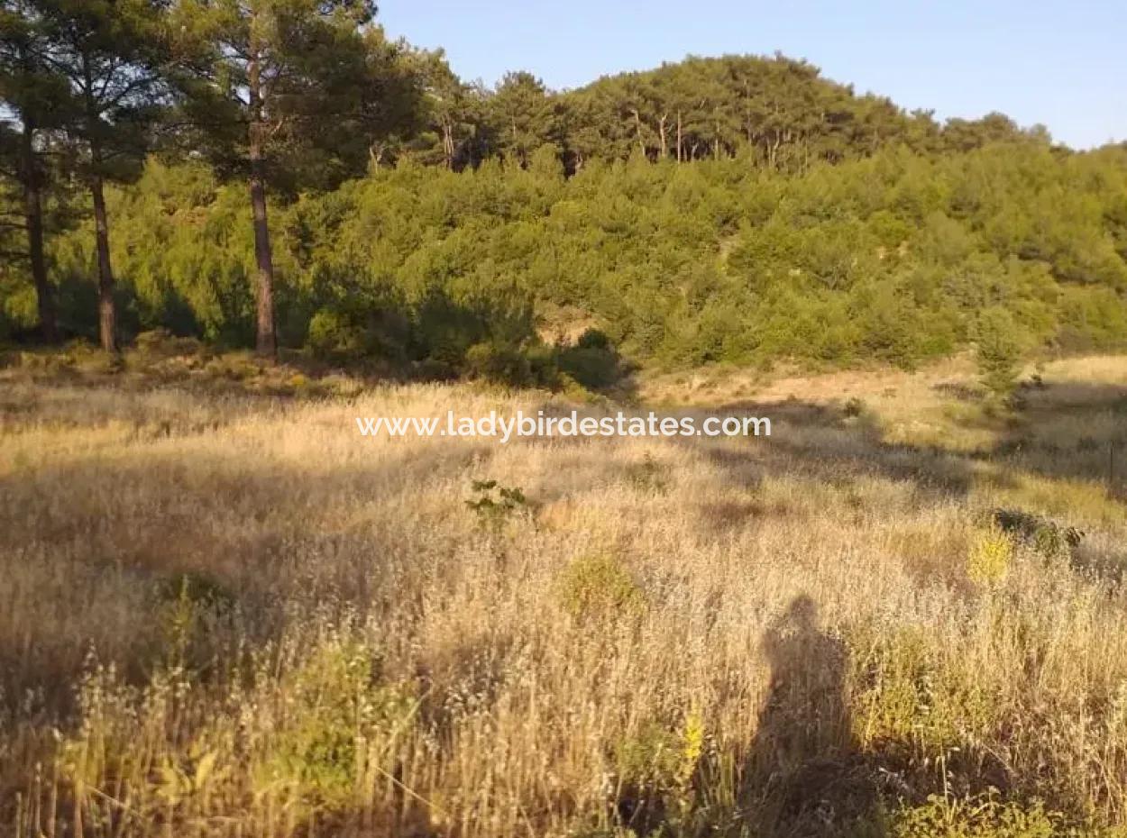 Dalaman, Elcik Village - Land For Sale