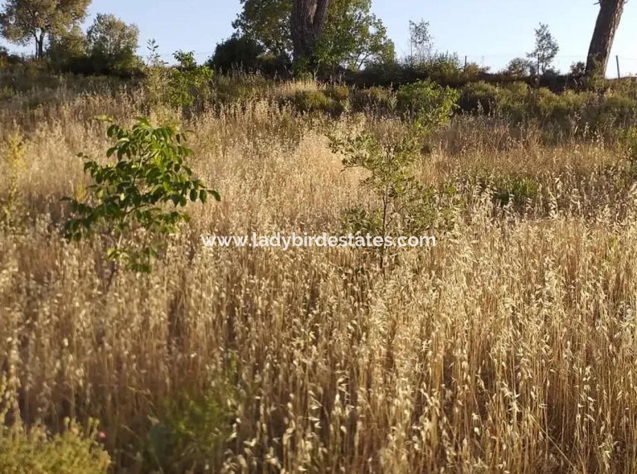 Dalaman, Elcik Village - Land For Sale
