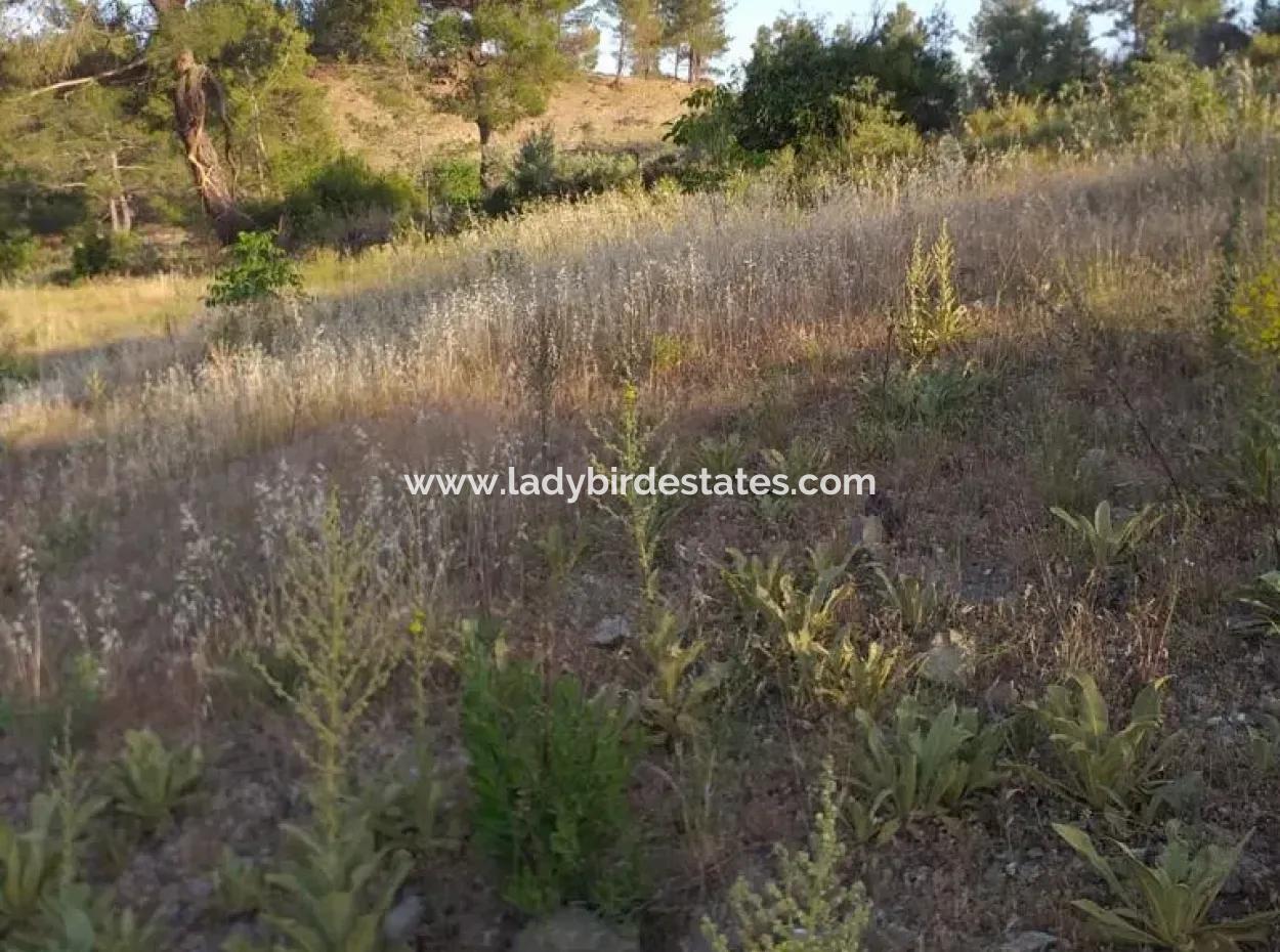 Dalaman, Elcik Village - Land For Sale
