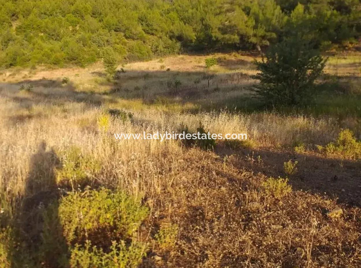 Dalaman, Elcik Village - Land For Sale