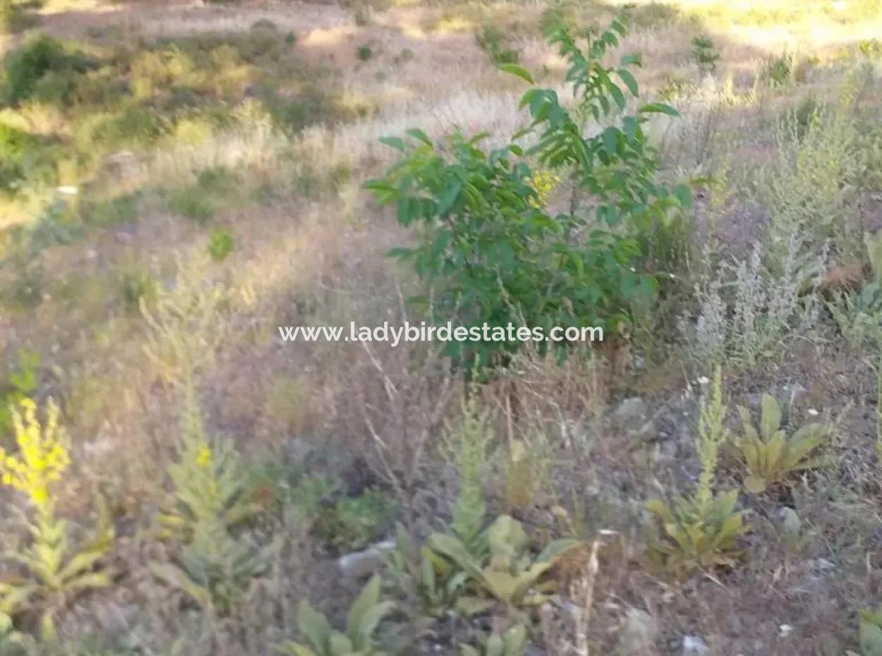 Dalaman, Elcik Village - Land For Sale