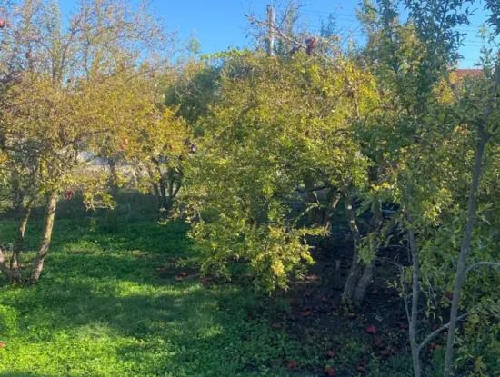 Inside Merkez. 905 M2 Satilik Arsa