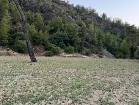 Opportunity In Karacaağaç Is A Field For Sale With A Single Title Deed
