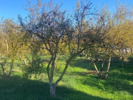 Inside Merkez. 905 M2 Satilik Arsa