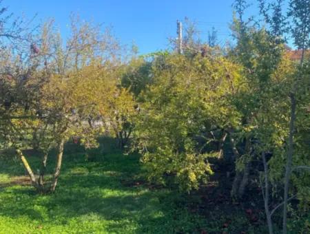 Inside Merkez. 905 M2 Satilik Arsa