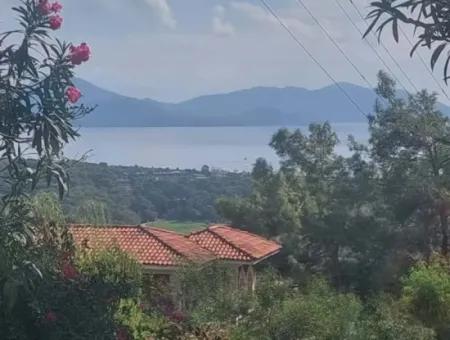 Olives For Sale With Sea View In Sarigerme