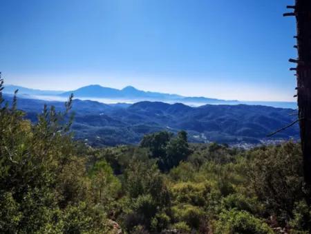 Field For Sale In Gocek Gökçeovacik Locality