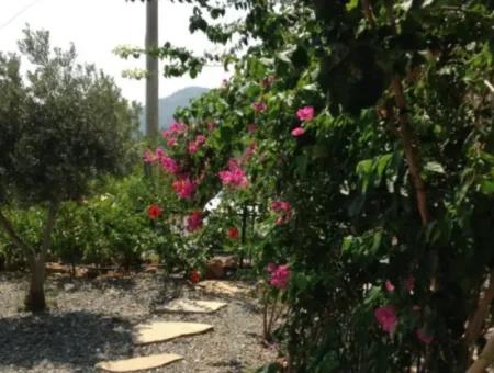 Magnificent Villa For Sale In Sarigerme Sari Evler Site