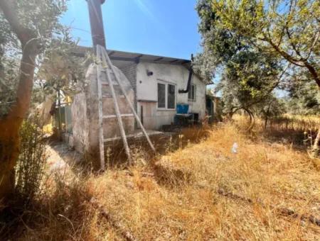 A Field With A House In 5 Acres In Dalaman Kayadibi Village Is For Sale
