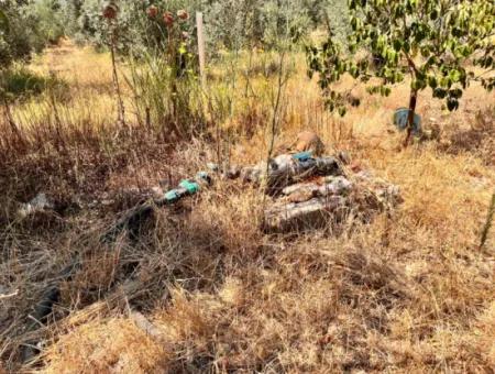 A Field With A House In 5 Acres In Dalaman Kayadibi Village Is For Sale