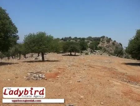 Dalaman, Incebel - 452 M2 Building Plot