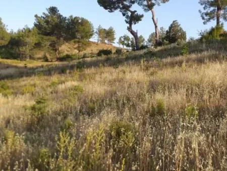 Dalaman, Elcik Village - Land For Sale