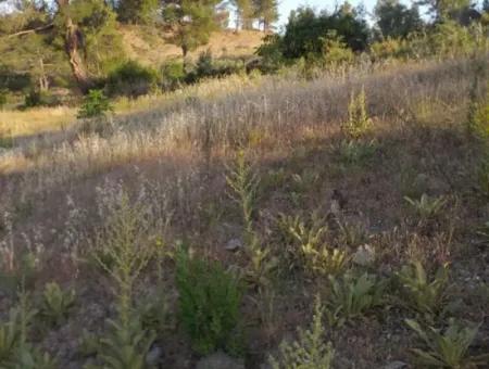 Dalaman, Elcik Village - Land For Sale