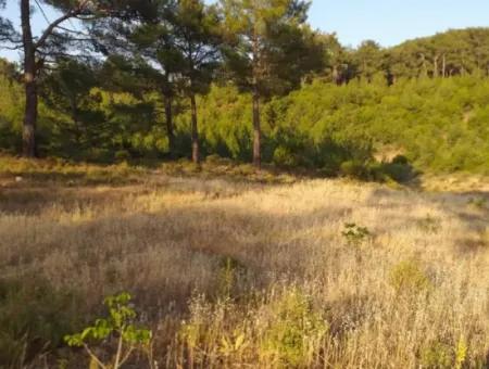 Dalaman, Elcik Village - Land For Sale