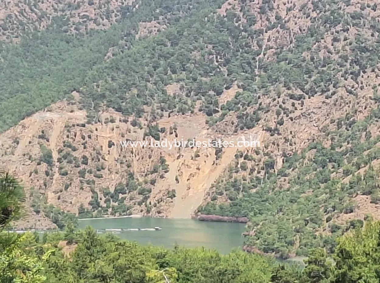 Dalaman Akkaya Da Eşyalı Havuzlu Daire