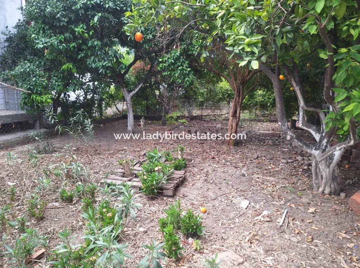 Dalaman Da Meyve Bahçesi Arasında Müstakil 2+1 Ev